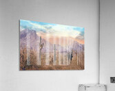 Pastel Desert Acrylic Print