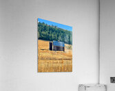 Dunford Barn 4 Acrylic Print