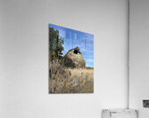 Colfax Barn 2 Acrylic Print