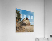 Colfax Barn 3 Acrylic Print