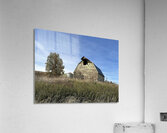 Colfax Barn 4 Acrylic Print