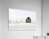 Standing Resolute 2 Acrylic Print