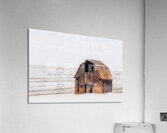 Still Standing Acrylic Print