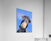 Stormy Acrylic Print