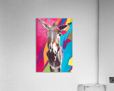 Pop Art Donkey Acrylic Print