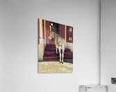 My eyes are up here  Acrylic Print