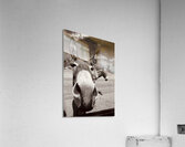 Welcome to Oatman Acrylic Print