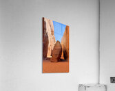 26EAC002 C0B5 4D42 B3FA A159C7E7639F 4 5005 c.jpe Acrylic Print