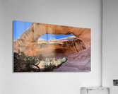 Gemini Twins Acrylic Print