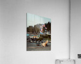 Americana Acrylic Print