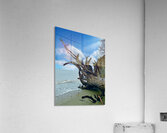 IMG 1646 Acrylic Print