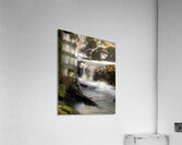 Forest Flow -2  Acrylic Print