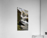 Forest Flow Acrylic Print