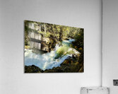 IMG 2459 Acrylic Print