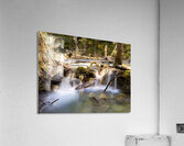 IMG 2445 Acrylic Print