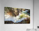 IMG 2460 Acrylic Print