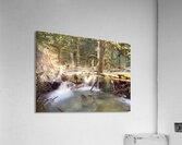 IMG 2442 Acrylic Print