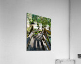 Bend in the Forest Acrylic Print