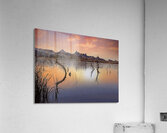 Catfish Paradise Acrylic Print