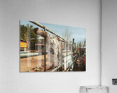 Weathered by Time Acrylic Print