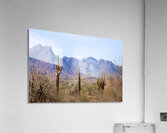 Desert landscape - Quartzsite Acrylic Print