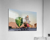 Frog & Bee Acrylic Print