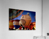 Standing at attention ready for flight Acrylic Print