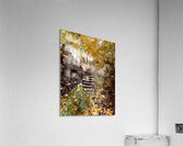 Autumn Staircase Acrylic Print