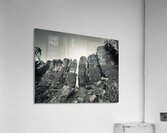 The Feathers Acrylic Print