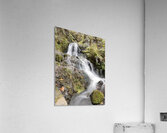 Oregon Waterfall Acrylic Print