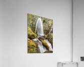 Wahkeena Falls Acrylic Print