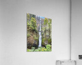 Multnomah Falls Acrylic Print