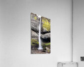Latourell Falls  Acrylic Print