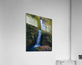 Bridal Veil Falls Oregon Acrylic Print