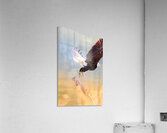 Take Flight Acrylic Print
