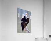 Majestic Acrylic Print