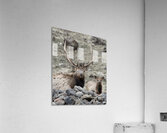 IMG 3516 Acrylic Print