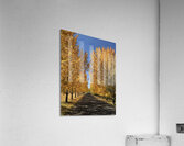 The Road to Cave B Acrylic Print