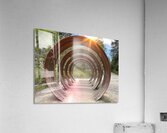 IMG 1694 Acrylic Print