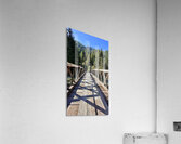 IMG 4082 Acrylic Print