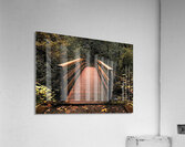 The path less traveled Acrylic Print