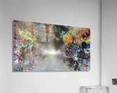 Baird Springs Tunnel -horizontal Acrylic Print