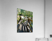 Bend in the Forest Acrylic Print