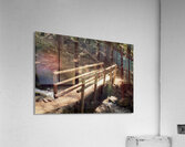 Forest Bridge Acrylic Print