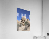 Skull Rock Joshua Tree National Park Acrylic Print