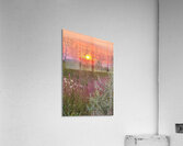 Sunset on Silica Road Acrylic Print