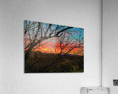 Colors of the Desert Acrylic Print