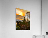 Beauty of Maui Acrylic Print