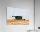 Wheat Harvest Acrylic Print