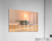 Wheat Havest Sundown Acrylic Print